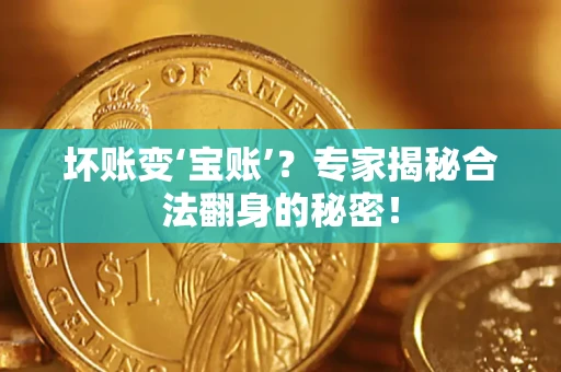 北京坏账变‘宝账’？专家揭秘合法翻身的秘密！