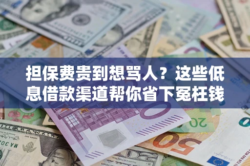 北京担保费贵到想骂人？这些低息借款渠道帮你省下冤枉钱