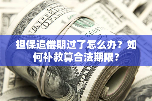 北京担保追偿期过了怎么办？如何补救算合法期限？