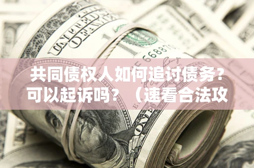 北京共同债权人如何追讨债务？可以起诉吗？（速看合法攻略）