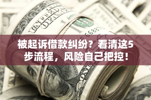 北京被起诉借款纠纷？看清这5步流程，风险自己把控！
